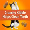 imageFriskies Party Mix Holiday Cat Treats Original Crunch Holiday Shapes  6 oz Pouch6 Ounce Pack of 1