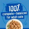 imageFriskies Purina Wet Cat Food Variety Pack Oceans of Delight Flaked and Prime Filets  48 ct Can55 Ounce Pack of 40
