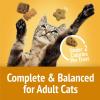 imagePurina Friskies Cat Treats Party Mix Cheezy Craze Crunch  Pack of 10 21 oz Pouches21 Ounce Pack of 10