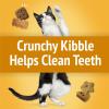 imagePurina Friskies Cat Treats Party Mix Cheezy Craze Crunch  Pack of 10 21 oz Pouches6 Ounce Pack of 6