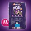 imagePurina Friskies Dry Cat Food Gravy Swirld With Flavors of Chicken Salmon and Gravy  22 lb Bag22 Pound Pack of 1