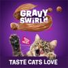 imagePurina Friskies Dry Cat Food Gravy Swirld With Flavors of Chicken Salmon and Gravy  22 lb Bag315 Pound Pack of 1