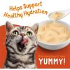 imagePurina Friskies Grain Free Wet Cat Food Complement Variety Pack Lil Soups With Sockeye Salmon ampamp Tuna in Broth  18 12 oz CupsVariety Pack