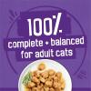 imagePurina Friskies Gravy Wet Cat Food Variety Pack Meaty Bits  Pack of 24 55 oz Cans