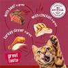 imagePurina Friskies Gravy Wet Cat Food Variety Pack Prime Filets Meaty Favorites  Pack of 24 55 oz Cans
