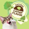 imagePurina Friskies Made in USA Facilities Natural Cat Treats Party Mix Natural Yums Catnip Flavor  Pack of 10 21 oz Pouches21 Ounce Pack of 10