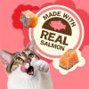 imagePurina Friskies Natural Cat Treats Party Mix Natural Yums With Real Salmon and Vitamins Minerals ampamp Nutrients  Pack of 10 21 Oz Pouches21 Ounce Pack of 10