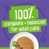 imagePurina Friskies Pate Wet Cat Food Variety Pack Seafood and Chicken Pate Favorites  48 ct Can55 Ounce Pack of 40
