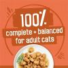 imagePurina Friskies Wet Cat Food Gravy Variety Pack TurChicken Extra Gravy Chunky Meaty Bits and Prime Filets  48 ct CanVariety Pack TurChicken