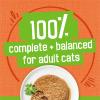 imagePurina Friskies Wet Cat Food Pate Chicken and Tuna Dinner  Pack of 24 55 oz Cans