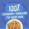 imagePurina Friskies Wet Cat Food Variety Pack Shreds With Beef Turkey and Cheese Dinner Chicken and Salmon Dinner and With Ocean Whitefish and Tuna  Pack of 40 55 oz Cans55 Ounce Pack of 32