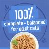 imagePurina Friskies Wet Cat Food Variety Pack Shreds With Beef Turkey and Cheese Dinner Chicken and Salmon Dinner and With Ocean Whitefish and Tuna  Pack of 40 55 oz Cans034 Fl Oz Pack of 48