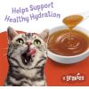 imagePurina Friskies Lil Gravies Roasted Turkey Flavor Cat Food Lickable Cat Treats  Pack of 16 155 oz Pouches