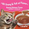 imagePurina Friskies Lil Gravies Savory Salmon Flavor Cat Food Complement Lickable Cat Treats  Pack of 16 155 oz Pouches