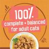 imagePurina Friskies Extra Gravy Wet Cat Food Chunky Chicken in Savory Gravy  Pack of 24 55 oz Cans