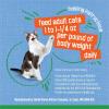 imagePurina Friskies Indoor Cat Food Flaked Ocean Whitefish Dinner With Garden Greens in Sauce  Pack of 24 55 oz Cans