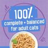 imagePurina Friskies Shreds Turkey and Cheese Dinner in Gravy High Protein Wet Cat Food  Pack of 24 55 oz Cans
