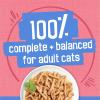 imagePurina Friskies Shreds With Salmon in Sauce Wet Cat Food  Pack of 24 55 oz Cans