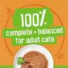 imagePurina Friskies Wet Cat Food Pate Liver and Chicken Dinner  Pack of 24 55 oz Cans