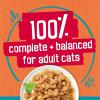 imagePurina Friskies Wet Cat Food Tasty Treasures With Chicken and Tuna in Gravy Scallop Flavor  Pack of 24 55 oz Cans