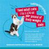 imagePurina Friskies Wet Cat Food Tasty Treasures With Ocean Fish and Tuna in Sauce Scallop Flavor  Pack of 24 55 oz Cans