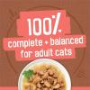 imagePurina Friskies Extra Gravy Wet Cat Food Chunky 24ct Variety Pack With Chicken Turkey Salmon Beef  Pack of 24 55 oz CansBeef  Turkey  Chicken  Salmon
