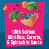 imagePurina Friskies Fully Loadd Wet Food for Cats with Salmon Wild Rice Carrots and Spinach in Sauce  55 Ounce Pack of 24
