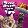 imagePurina Friskies Glazd and Infuzd with Gravy Glazd Crab Flavored Wet Food for Cats  55 Ounce Pack of 24