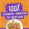imagePurina Friskies Meaty Bits Chicken Dinner in Gravy Multi Cat Wet Cat Food  135 Ounces Pack of 12