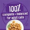imagePurina Friskies Meaty Bits with Ocean Fish and Chicken Dinner in Gravy Multi Cat Wet Cat Food Variety Pack  135 Ounces Pack of 12