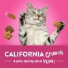 imagePurina Friskies Party Mix California CrunchwithChicken and Flavors of Turkey and BaconCat Treats  30 oz Canister