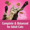 imagePurina Friskies Party Mix California CrunchwithChicken and Flavors of Turkey and BaconCat Treats  30 oz Canister