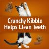 imagePurina Friskies Party Mix Chicken Lovers CrunchwithReal ChickenCat Treats  30 oz Canister