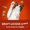 imagePurina Friskies Party Mix GravyLiciousCrunch Chicken and Gravy FlavorsCat Treats  30 oz Canister