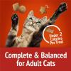 imagePurina Friskies Party Mix GravyLiciousCrunch Chicken and Gravy FlavorsCat Treats  30 oz Canister