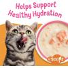 imagePurina Friskies Grain Free Lickable Cat Food Toppers Lil Soups With Sockeye Salmon in Chicken Broth  Pack of 8 12 oz Cups12 Ounce Pack of 16